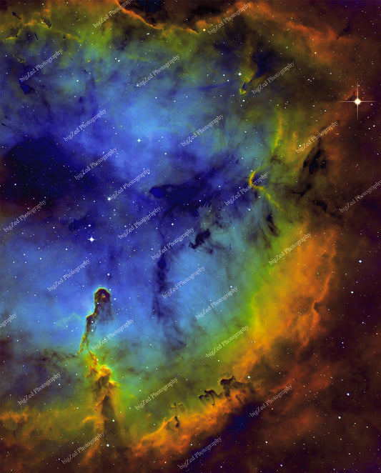 The Elephant's Trunk Nebula: Print